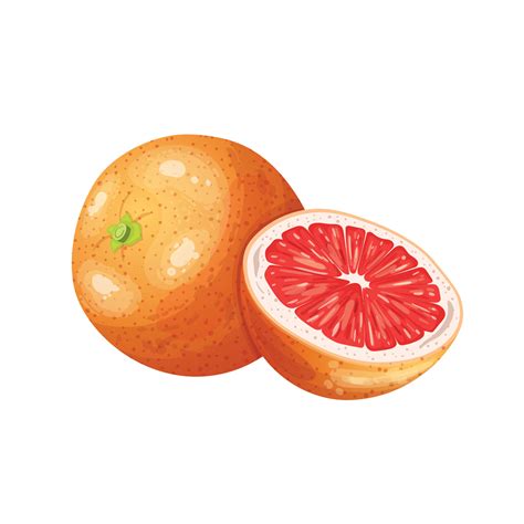 how to cut a grapefruit 4