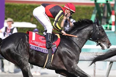 見どころ 2024ブリーダーズカップターフ Jra Van World 海外競馬情報サイト