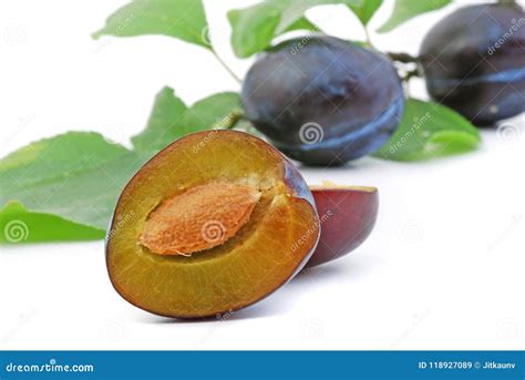 Fresh blue plums. stock image. Image of background, isolated - 118927089