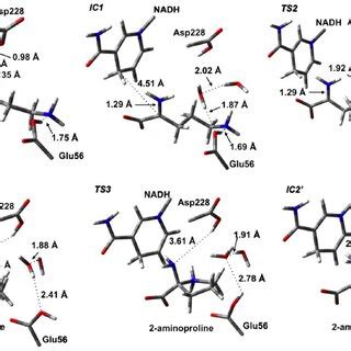 Optimized Structures See Computational Methods With Selected Bond