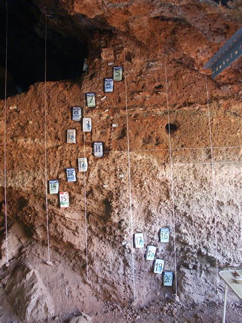 Yacimientos Arqueológicos de la Araña LAS PÁGINAS DEL LIBRO DE LA