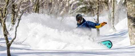 The Ultimate Guide to Powder Snowboards + How They Work