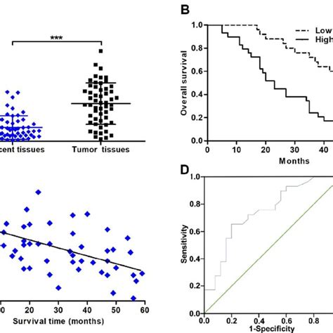 The Expression Of Zeb1 As1 And Its Correlation With Clinicopathological