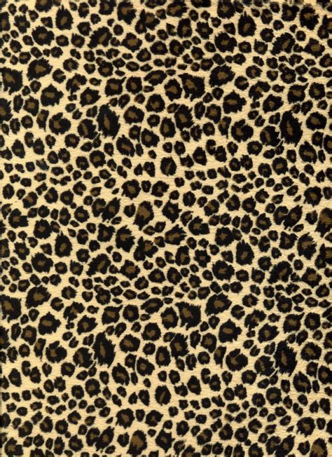 Cheetah Print Wallpapers Wallpapers