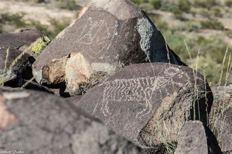 Big Horn Sheep Representing Motion Three Rivers Petroglyph Flickr