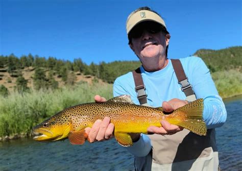 Deckers Dry Fly Fishing Colorado Trout Hunters