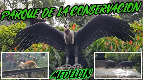 Visite el Parque de la Conservación Qué hay en este lugar