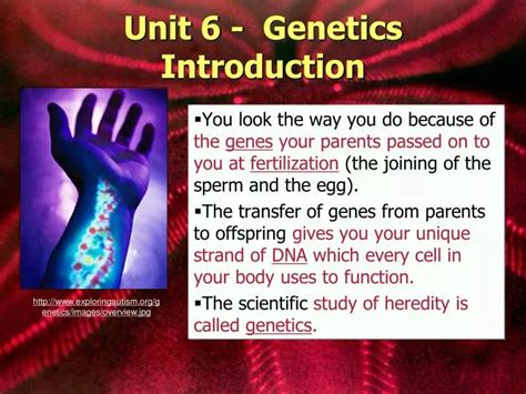 Ppt Unit 6 Genetics Introduction Powerpoint Presentation Free