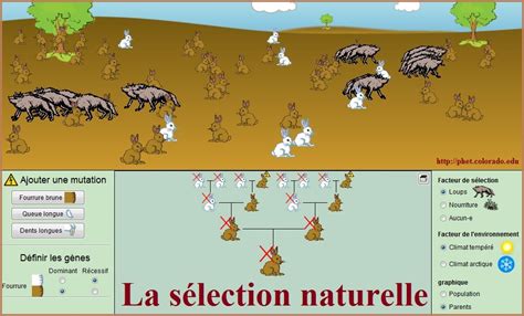 De La Diversification Des êtres Vivants à Lévolution Vive Les Svt Les Sciences De La Vie