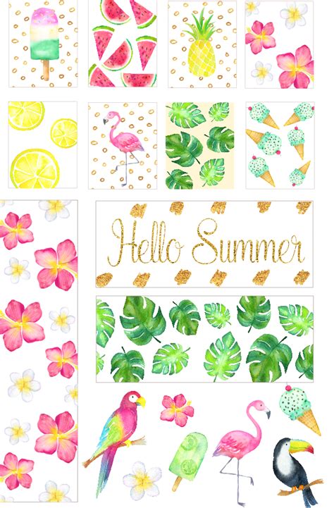 Tropical Summertime Planner Stickers Abbi Kirsten Collections