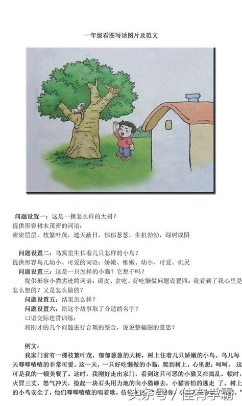 小學一年級語文看圖寫話範文（共十篇） 每日頭條