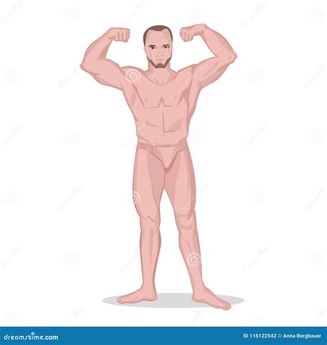 Strong Naked Man Stock Vector Illustration Of Model