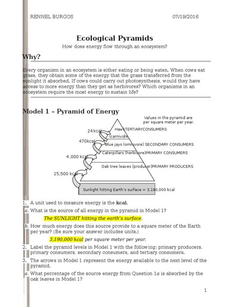 26 Ecological Pyramids-S Rennel | PDF | Biomass (Ecology) | Food Web ...