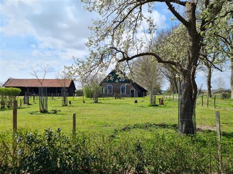 Havelte Beleef Het Lage Noorden