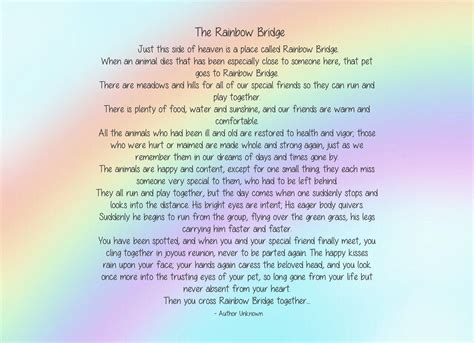 Sympathy Card The Rainbow Bridge 5x7 Pug Sympathy Card By Pugs And