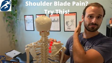 Chiropractor Encinitas Ca Get Rid Of Shoulder Blade Pain With Your