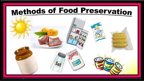 Methods Of Food Preservation Youtube