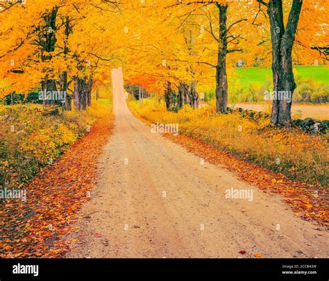 El color parece fotografías e imágenes de alta resolución Alamy