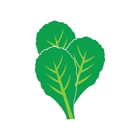 Premium Vector Fresh Spinach Vegetable Logoicon Vector Illustration