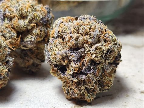 Og Kush