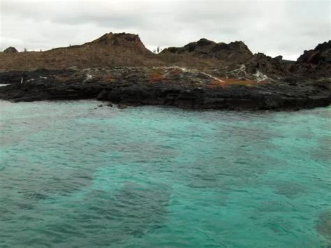 Day Galapagos Islands Cruise To Central East Southern Islands On M