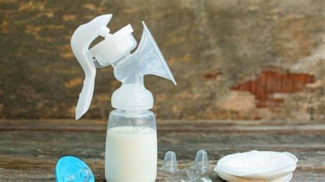 tak  susu sapi ternyata  jenis susu  baik  anak tips