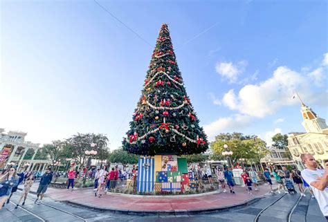 PHOTOS Magic Kingdom S Christmas Tree Has Arrived MickeyBlog