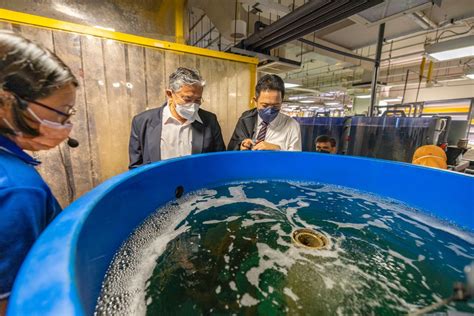 Aquaculture Innovation Centre Aic Temasek Polytechnic