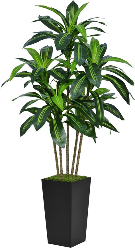 Astidy Artificial Dracaena Tree Ft Faux Tree With Black Tall Planter