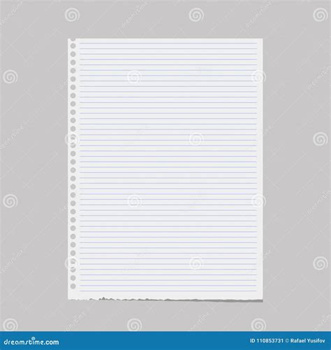 Blank Of Note Paper Notebook Sheet With Holes Vector Stock Vector