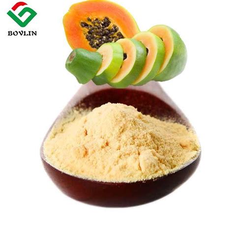 Papain Powder Manufacturer And Supplier Wholesale Bulk Customized