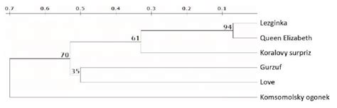 Dendrogram Built With The Neighbor Joining Algorithm Based On Issr Pcr