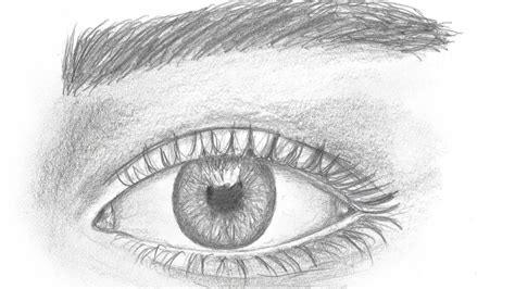 Dibujo Partes Del Ojo Para Rellenar Encuentra Imágenes Aquí