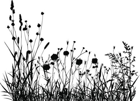 Tall Grass Prairie Illustrations Royalty Free Vector Graphics And Clip Art Istock