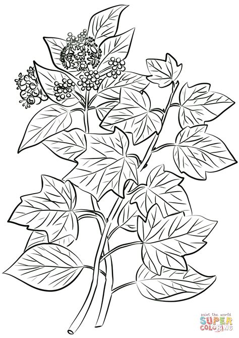 Ivy Pokemon Coloring Pages