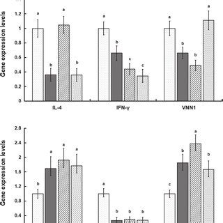 Gene Expression Levels Of Inflammatory Cytokines In Colonic Mucosa