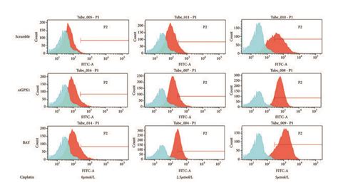 Bay 11 7082 A Nf κb Inhibitor Downregulated Intracellular Ros And