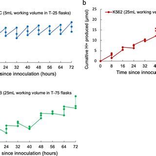 Cumulative H Production In Human Cell Cultures Time Course Of