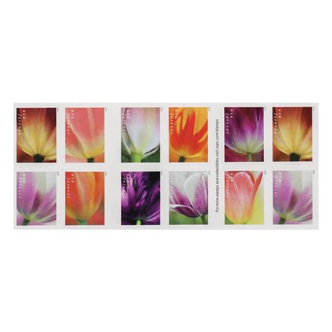 2023 US First-Class Forever Stamps – Tulip Blossoms booklet – Buy ...