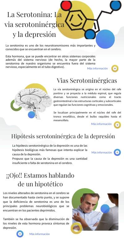 Neurofisiología Infografía La Serotonina