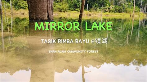 莎阿南镜湖 SACFShah Alam Community Forest Setia Alam Tasik Rimba Bayu