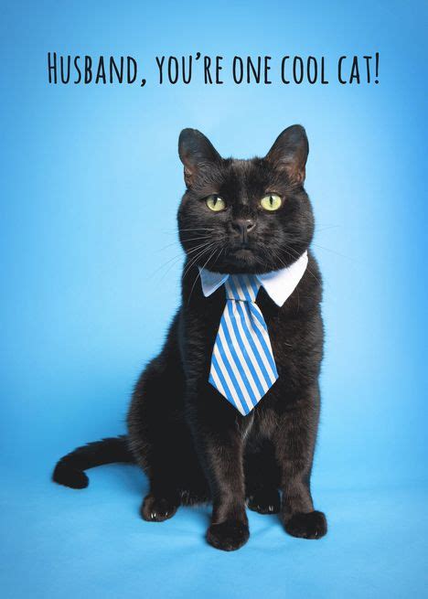 Happy Fathers Day Husband Cute Cat In Blue Tie Humor Card Ad