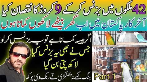 How To Start Birds Business In Pakistan 2023 Love Birds Business In