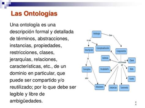 En Un Mapa Conceptual Explique Las Características Del Ser Ontologia Brainlylat