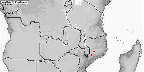 Distribution Of Atheris Mabuensis Repfocus