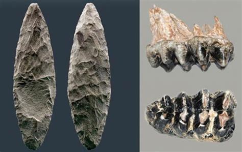 Evidence for Pre-Clovis Inhabitants of Americas Emerges from Sea Floor ...