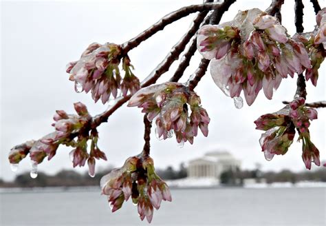 Northeast Slammed With Major Winter Storm Abc News