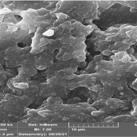 Ftir Spectra Of A Pva Ga Ch Urea And B Cs Ga Ph Urea Loaded