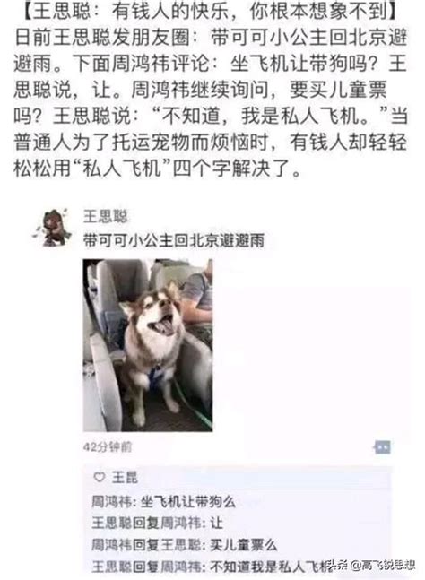 猜猜王思聰要老實還錢還是做老賴？ 每日頭條