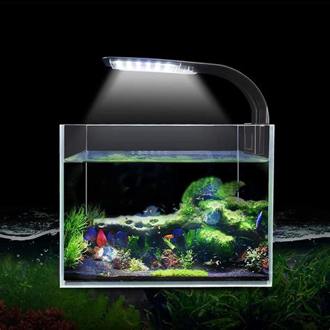 Led Light For Fish Bowl Ppgbbe Intranet Biologia Ufrj Br